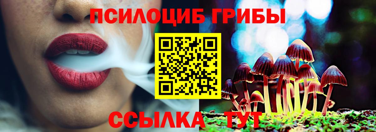 Екатеринбург  Псилоцибиновые грибы GOLDEN TEACHER  Вход с VPN 