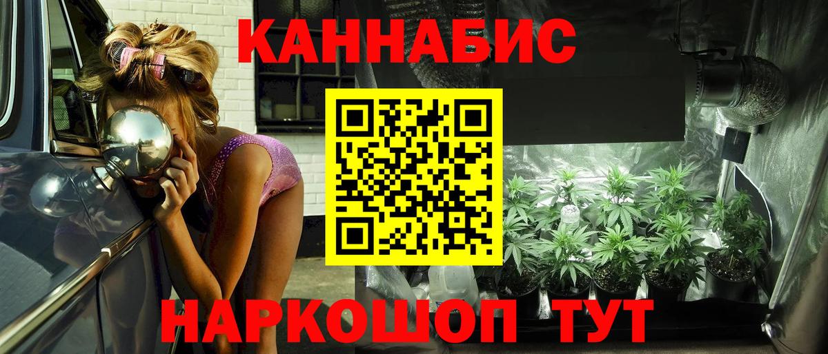 Псилоцибиновые грибы Екатеринбург